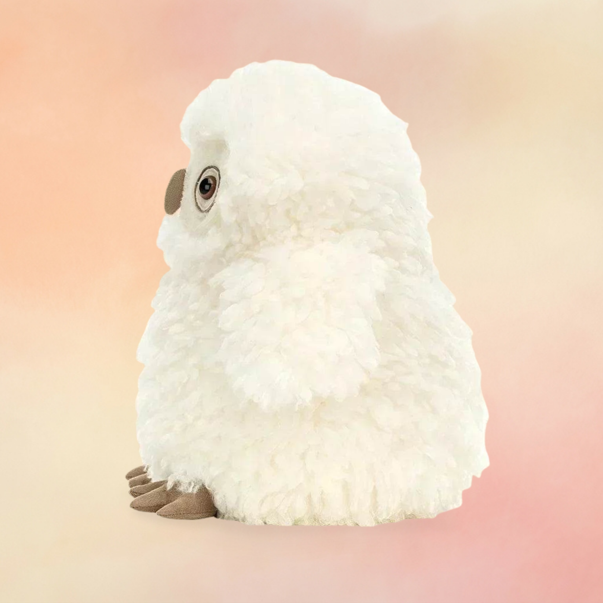 Apollo Owl | Birds Collection