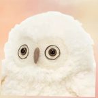 Apollo Owl | Birds Collection