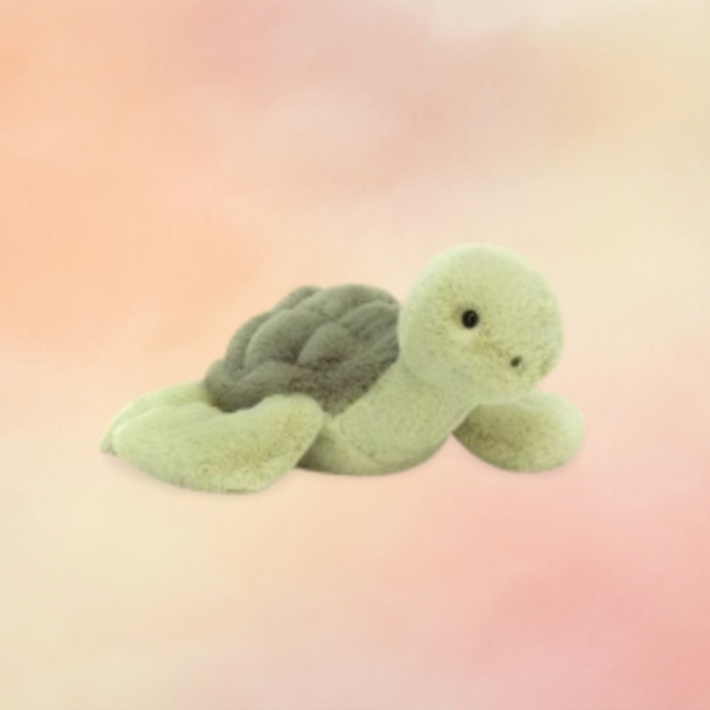 Tully Turtle | Amphibians & Reptiles Collection