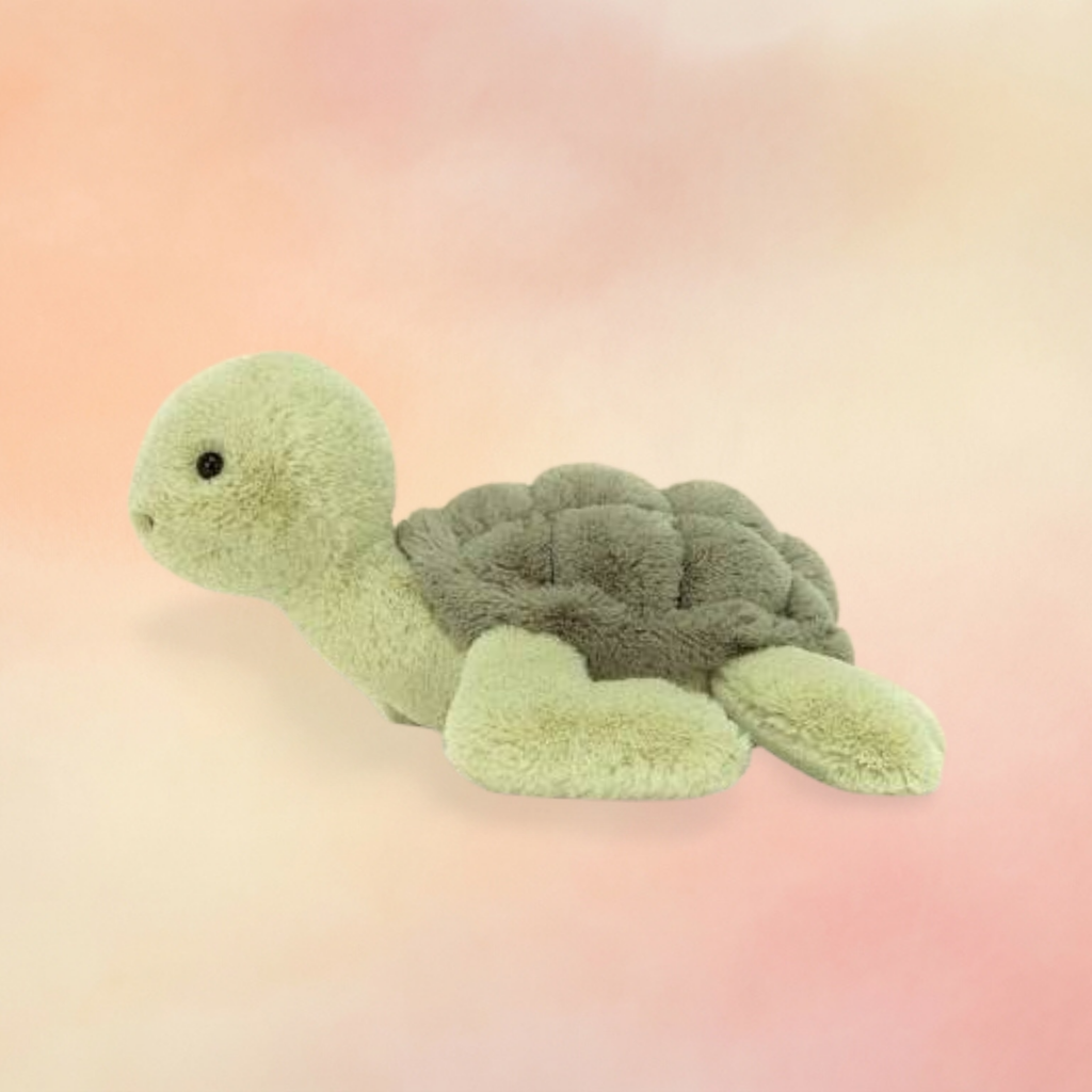 Tully Turtle | Amphibians & Reptiles Collection