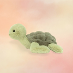 Tully Turtle | Amphibians & Reptiles Collection