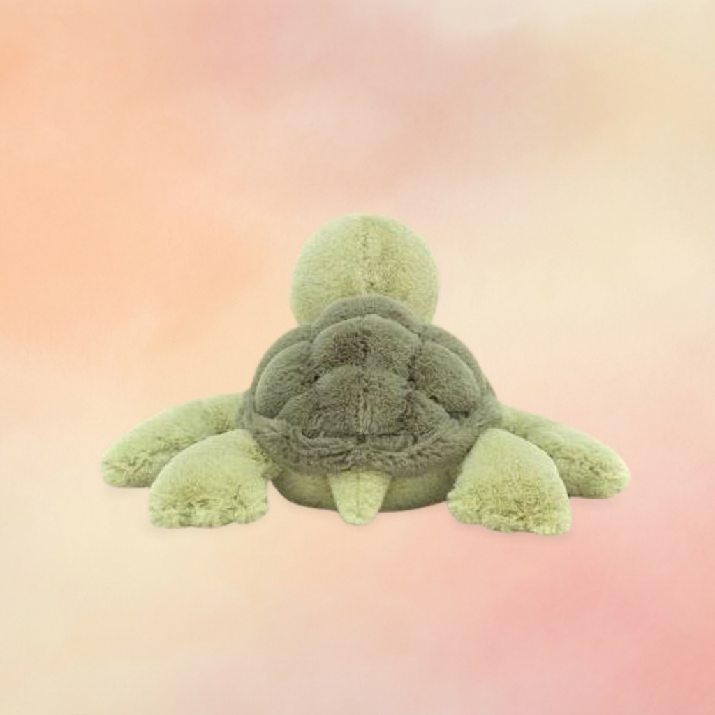 Tully Turtle | Amphibians & Reptiles Collection