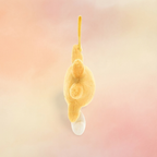 Amuseables Sun Musical Pull | Amuseables Collection