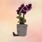 Amuseables Purple Orchid | Amuseables Collection