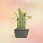 Amuseables Potted Bamboo | Amuseables Collection