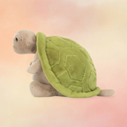 Timmy Turtle | Amphibians & Reptiles Collection