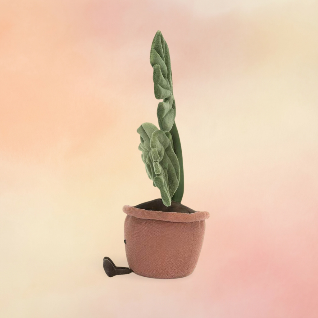 Amuseables Monstera Plant | Amuseables Collection