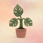 Amuseables Monstera Plant | Amuseables Collection