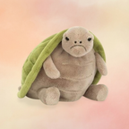 Timmy Turtle | Amphibians & Reptiles Collection