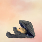 Amuseables Michelle Mussel | Amuseables Collection