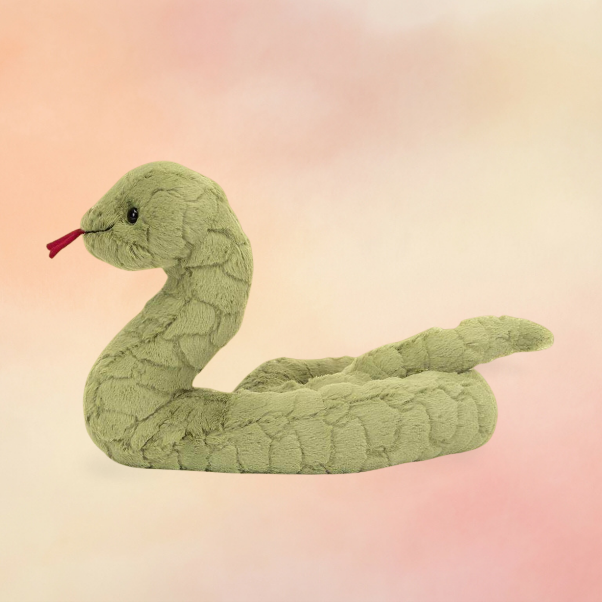 Stevie Snake | Amphibians & Reptiles Collection