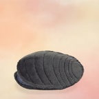 Amuseables Michelle Mussel | Amuseables Collection