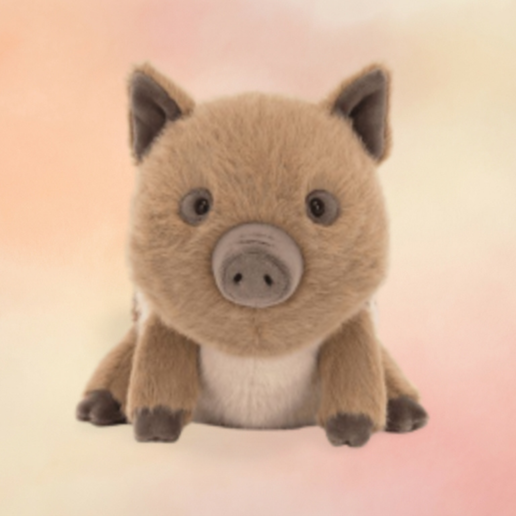 Swinley Boar | Jungle & Safari Collection