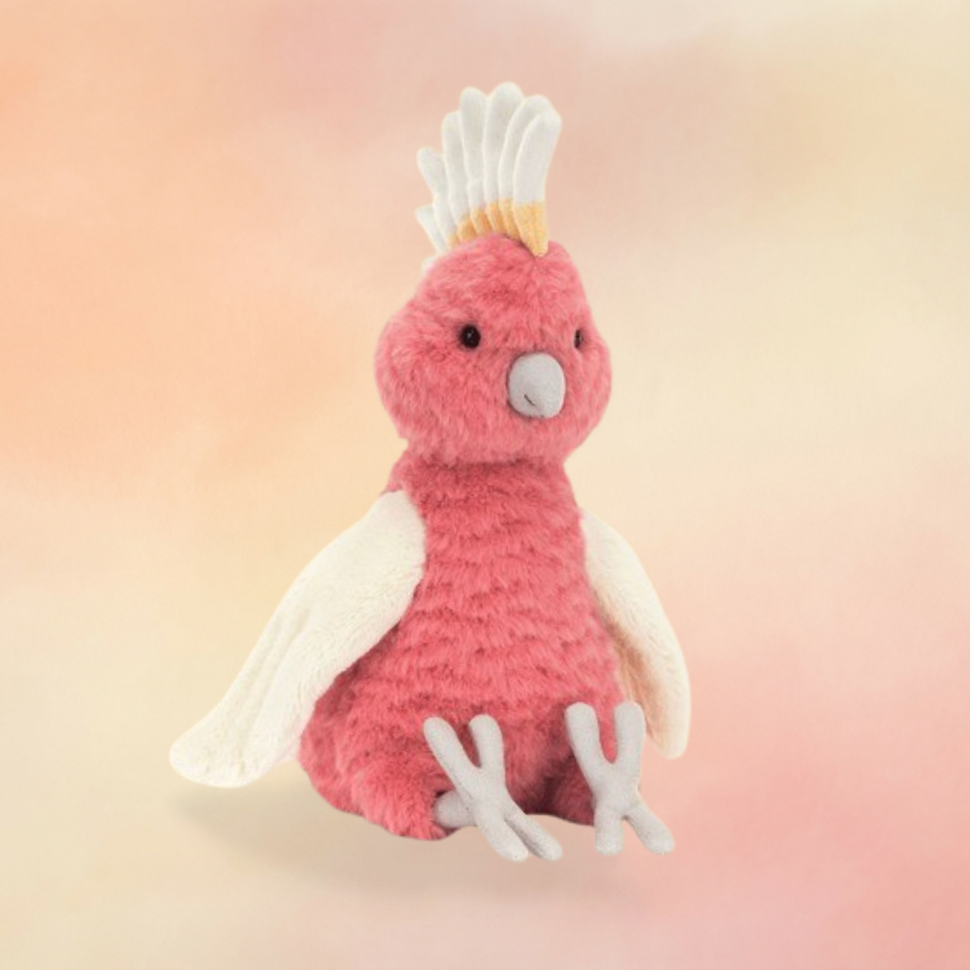 Squawkatoo | Jungle & Safari Collection