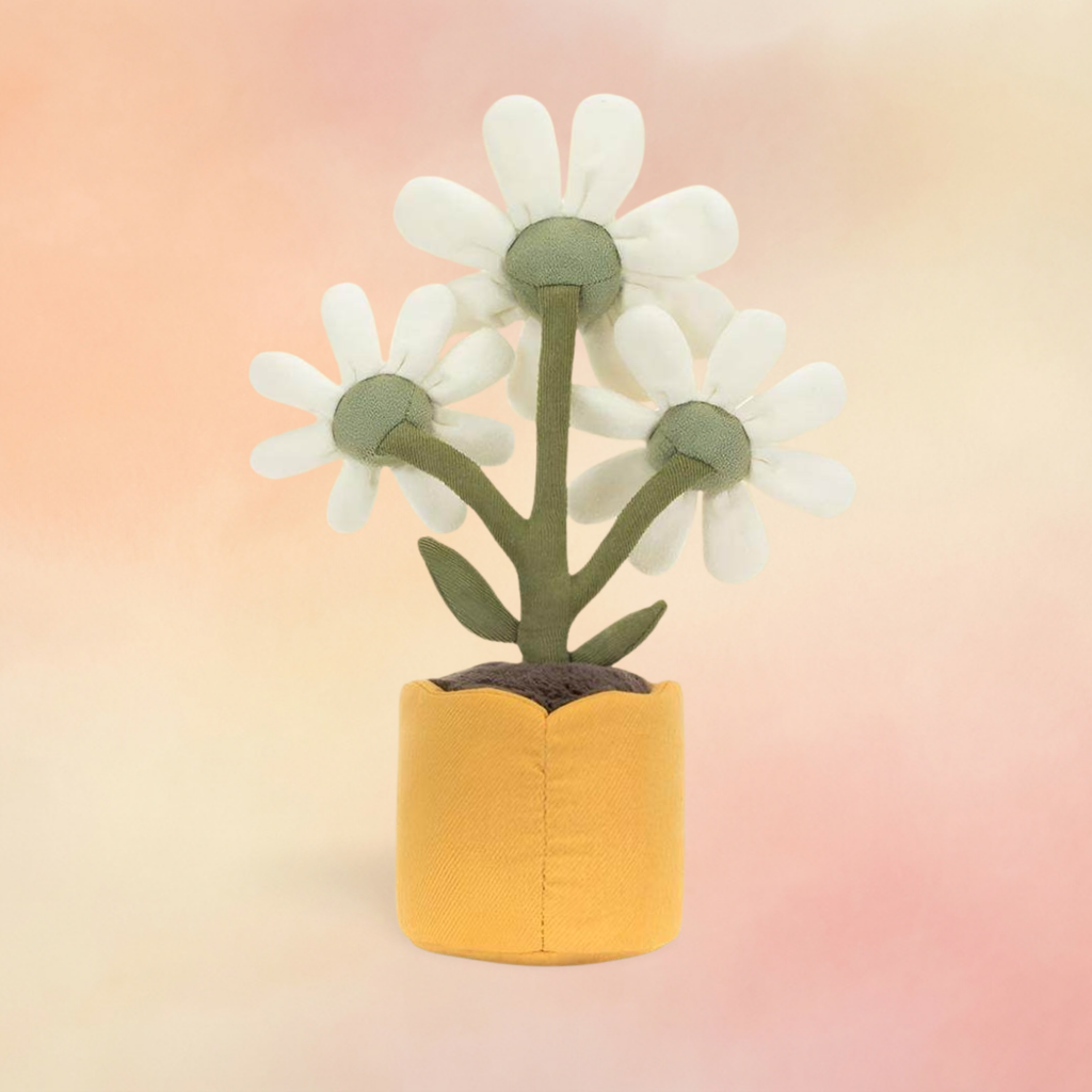Amuseables Daisy | Amuseables Collection