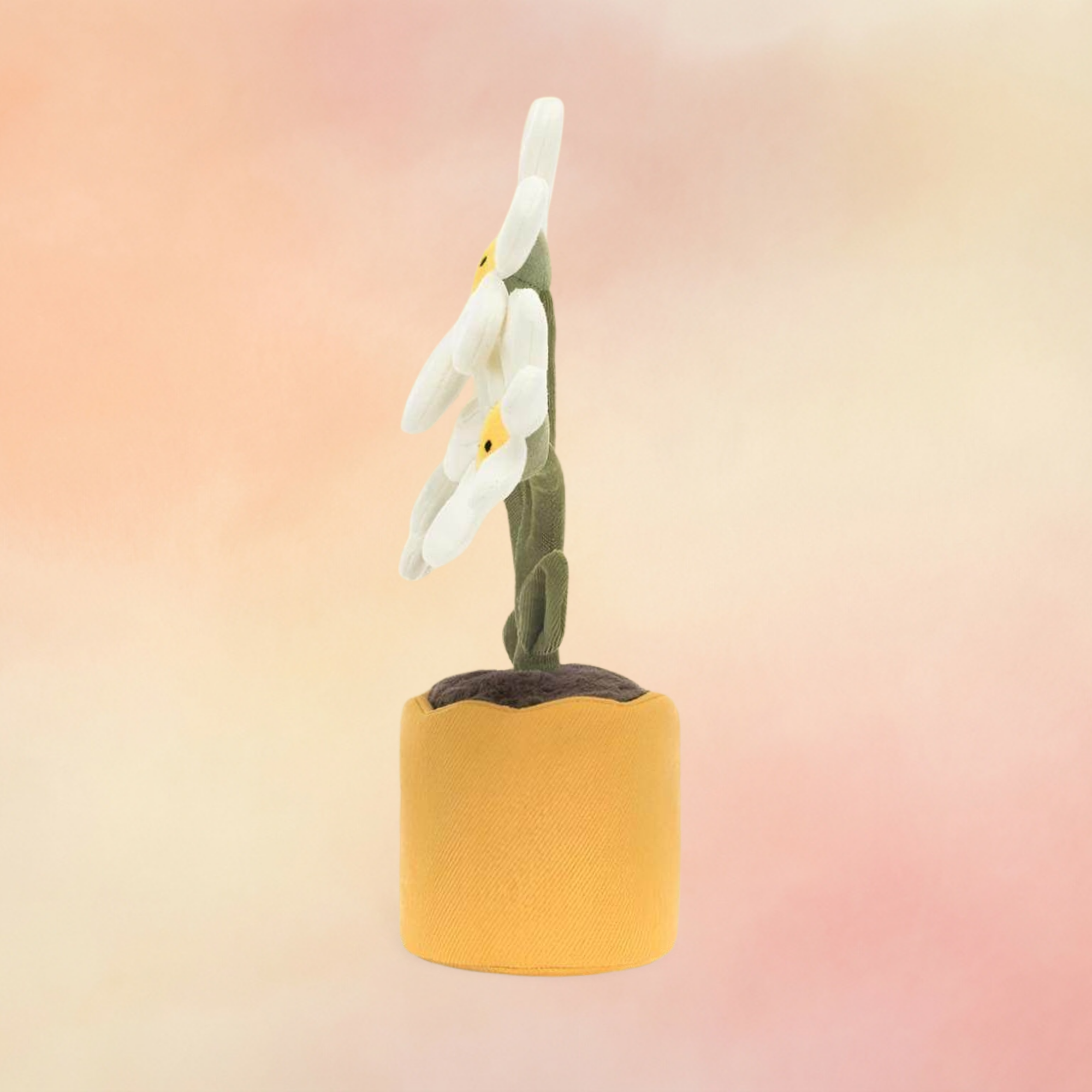 Amuseables Daisy | Amuseables Collection