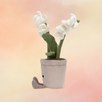 Amuseables Cream Orchid | Amuseables Collection