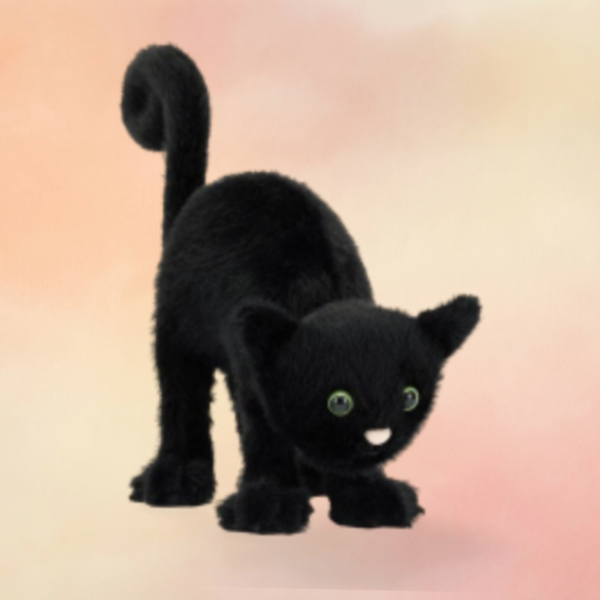 Spookipaws Cat | Cats & Kittens Collection