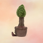 Amuseables Bonsai Tree | Amuseables Collection