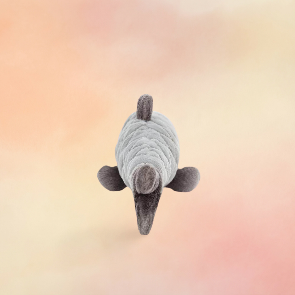 Sensational Seafood Sardine | Ocean Collection