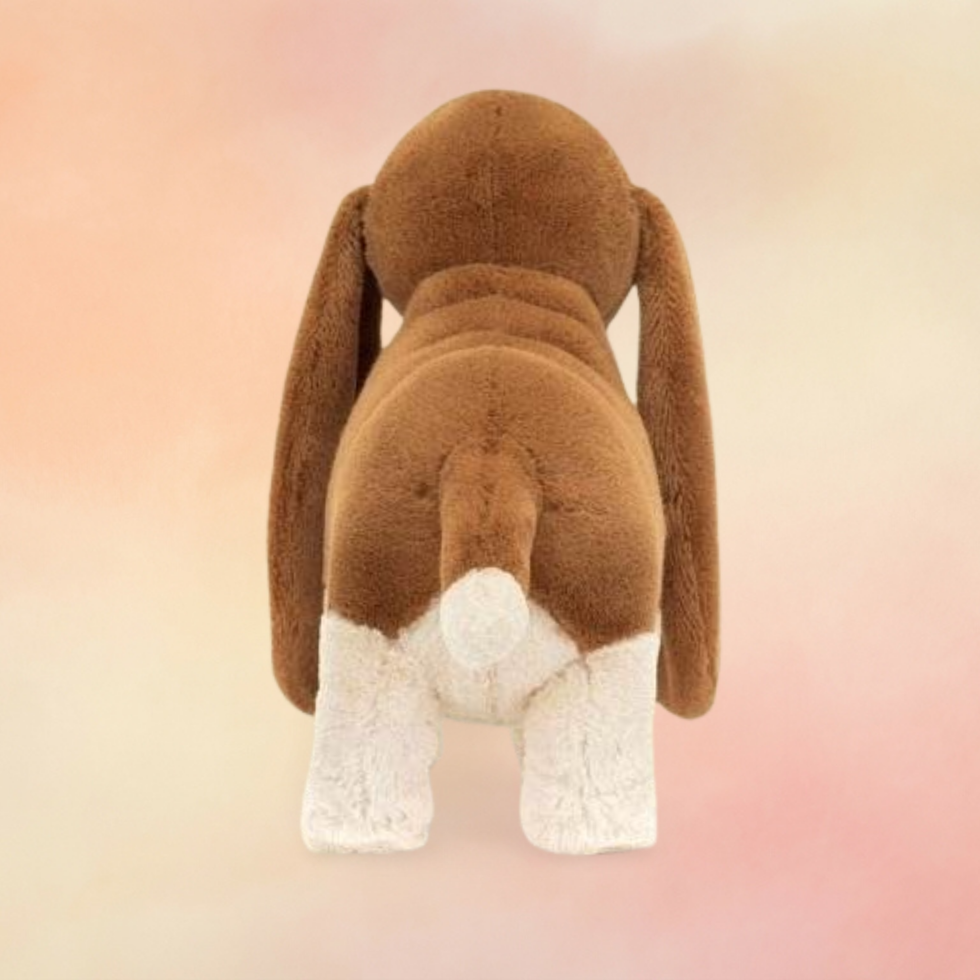 Randall Basset Hound | Dogs & Puppies Collection