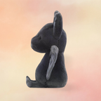 Ooky Bat | Halloween Collection