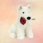 Munro Scottie Dog Valentines Rose | Dogs & Puppies Collection