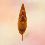 Woodland Maple Leaf | Retired & Collector Collection