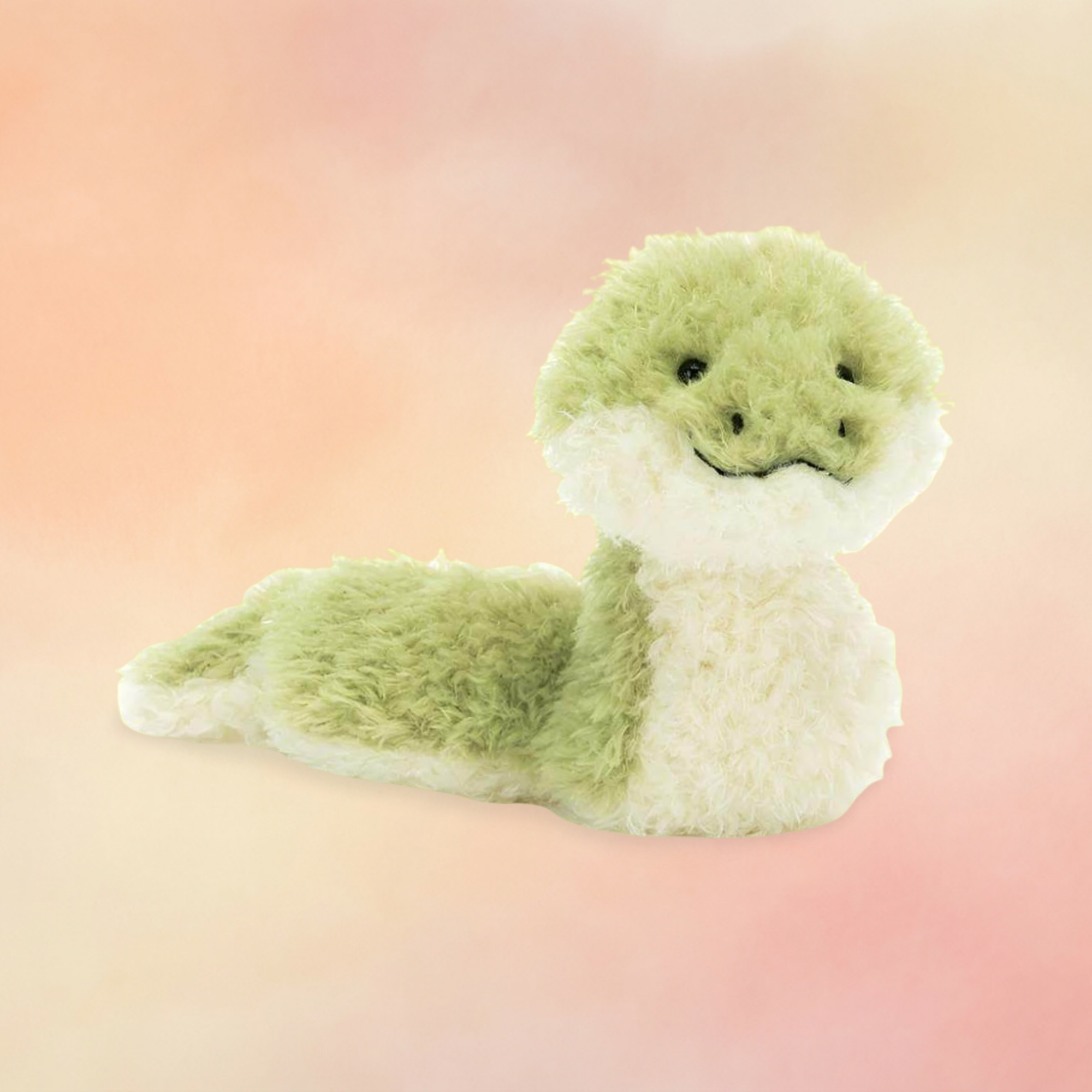 Little Snake | Amphibians & Reptiles Collection