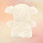 Little Lamb | Little Collection