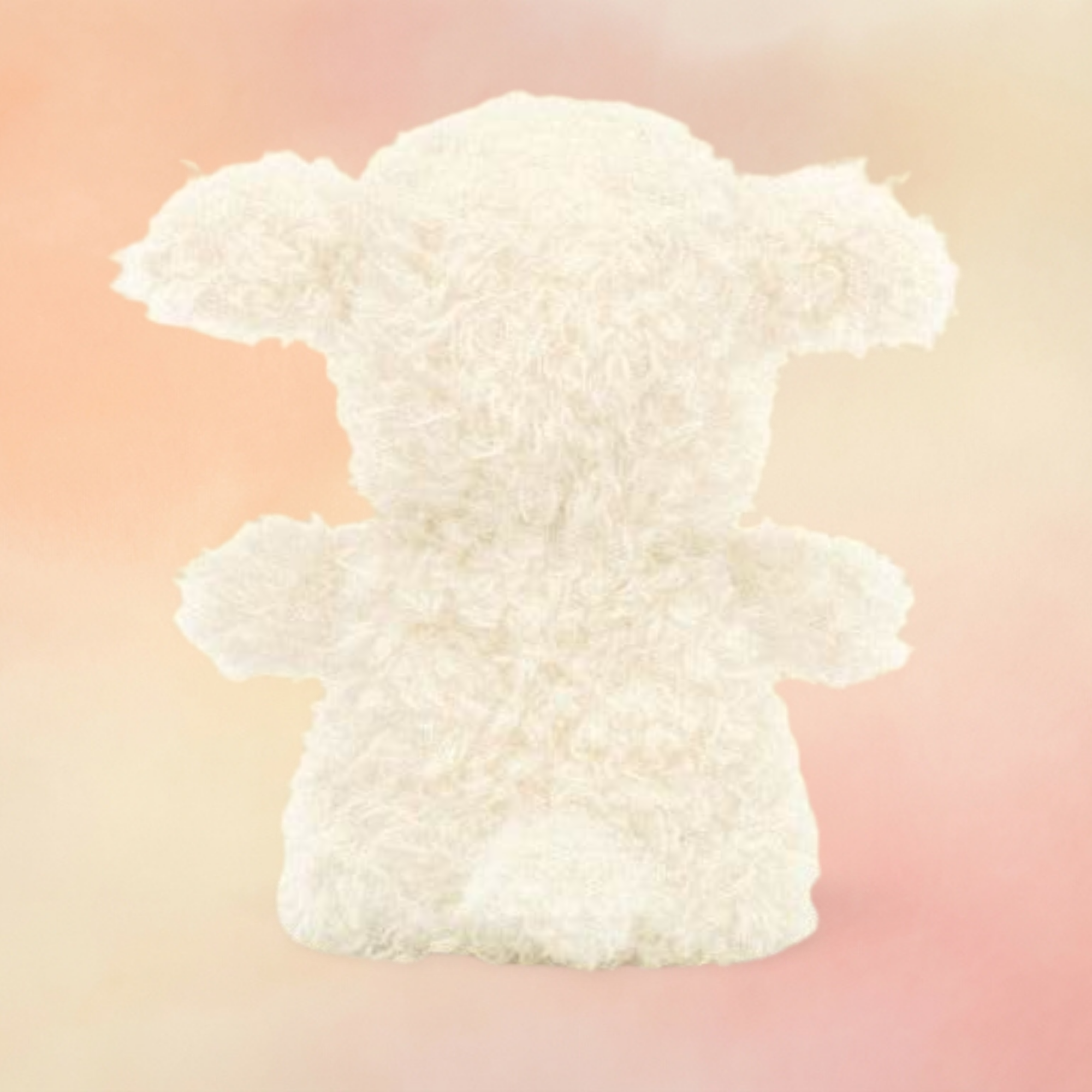 Little Lamb | Little Collection