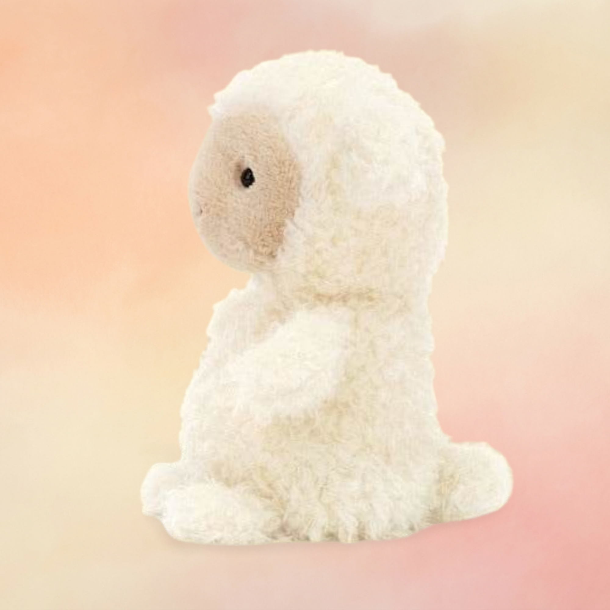 Little Lamb | Little Collection