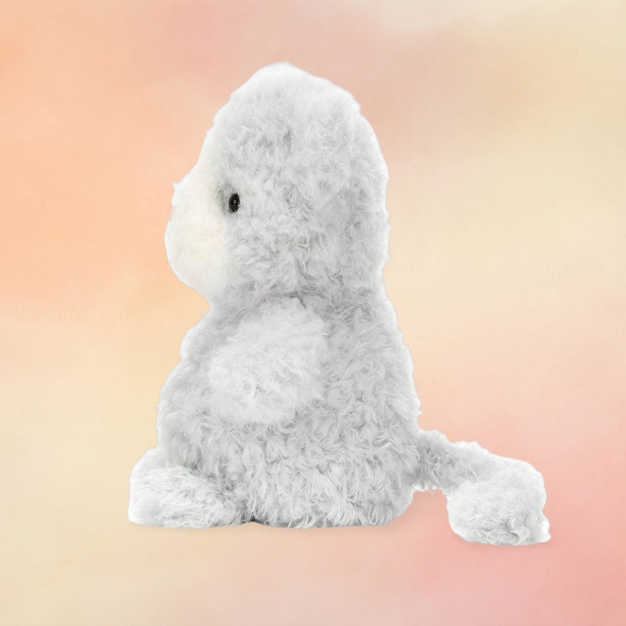 Little Kitten | Cats & Kittens Collection