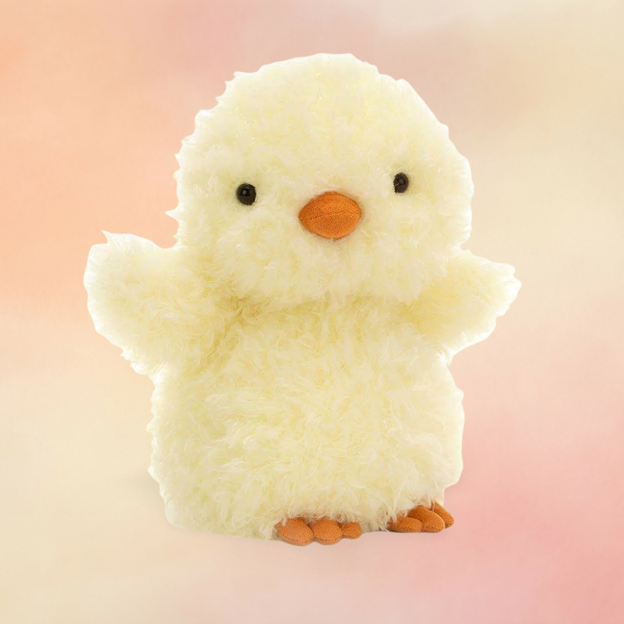 Little Chick | Little Collection