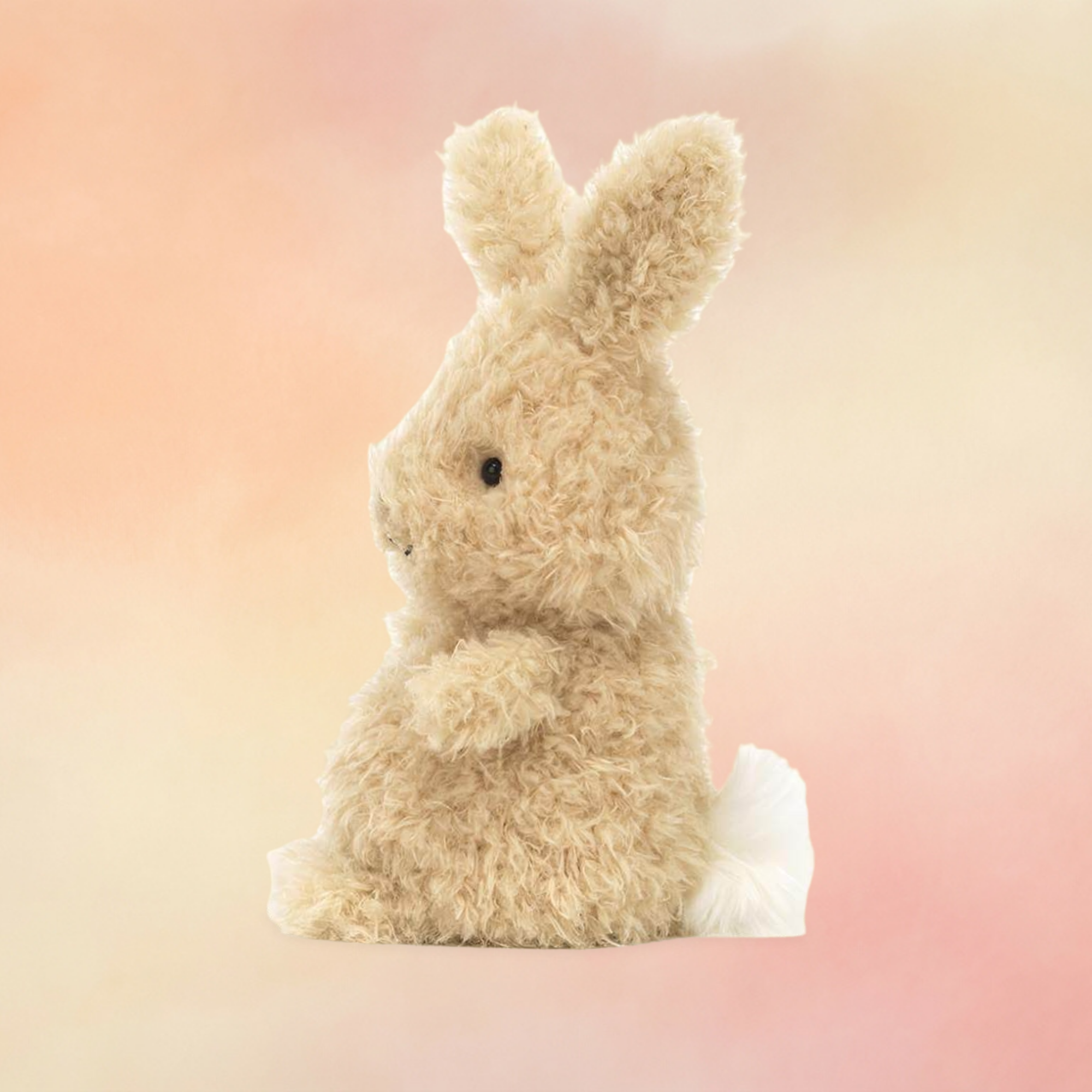 Little Bunny | Bunnies Collection