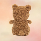 Little Bear | Bears Collection
