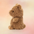 Little Bear | Bears Collection