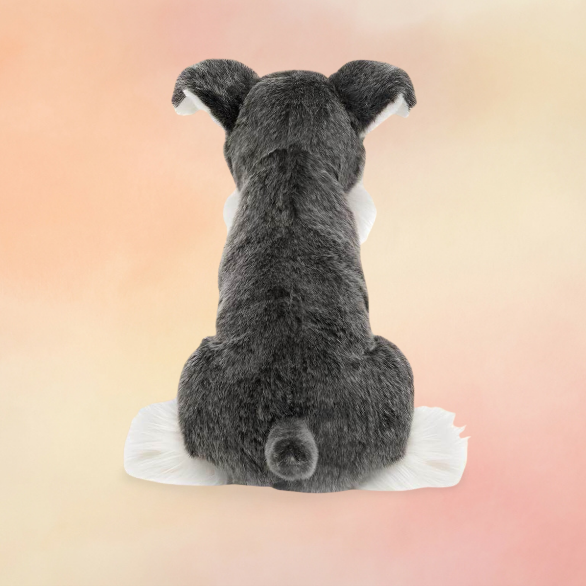 Lawrence Schnauzer | Dogs & Puppies Collection