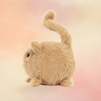 Kitten Caboodle Ginger | Cats & Kittens Collection