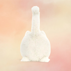 Kitten Caboodle-Cream | Cats & Kittens Collection