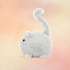 Kitten Caboodle | Cats & Kittens Collection