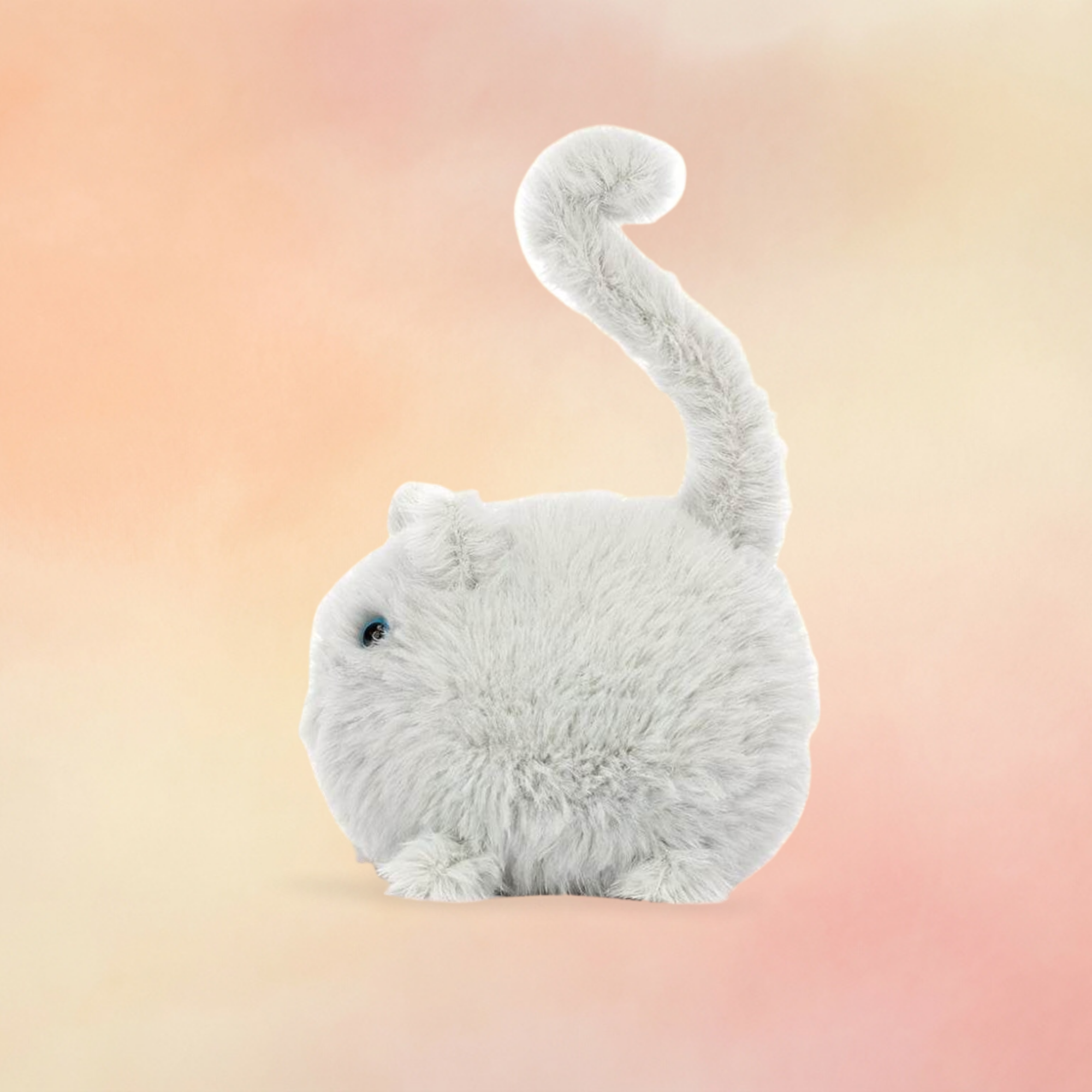 Kitten Caboodle | Cats & Kittens Collection