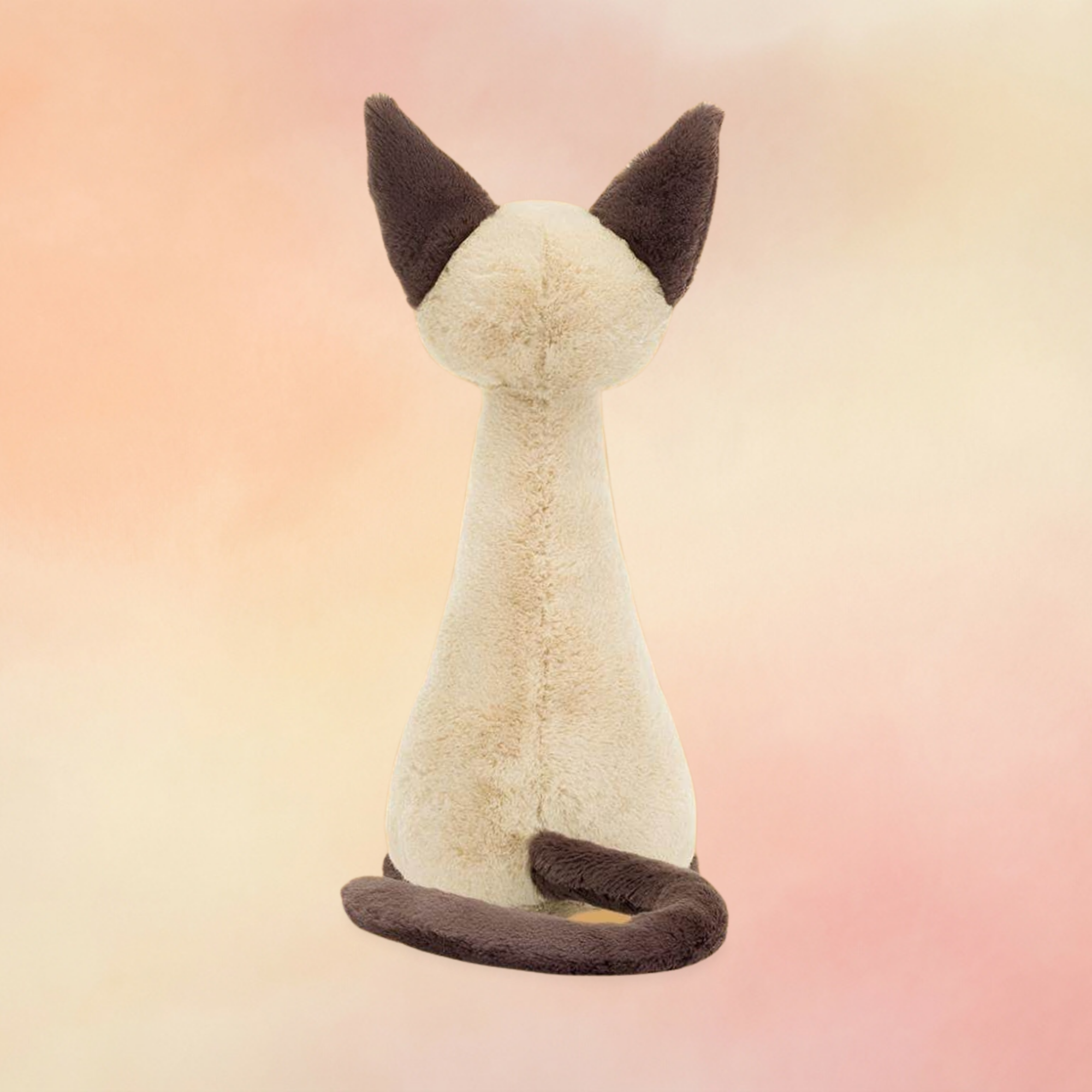 Iris Siamese Cat | Cats & Kittens Collection