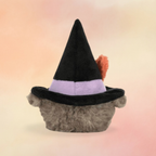 Heccaty Hootnightly | Cats & Kittens Collection