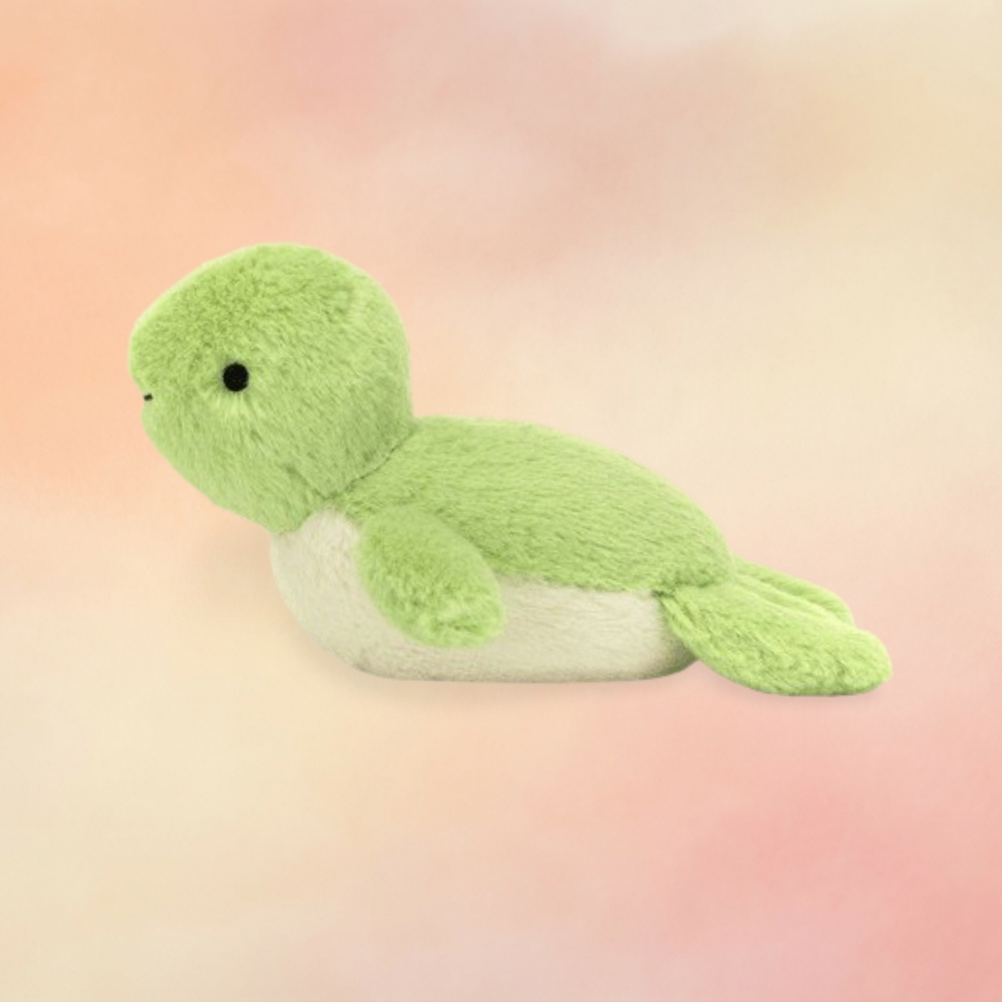 Fluffy Turtle | Amphibians & Reptiles Collection