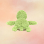 Fluffy Turtle | Amphibians & Reptiles Collection