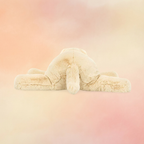 Wanderlust Puppy | Dogs & Puppies Collection