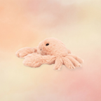 Fluffy Crab | Ocean Collection