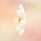 Fleury Daisy | Amuseables Plants & Woodland