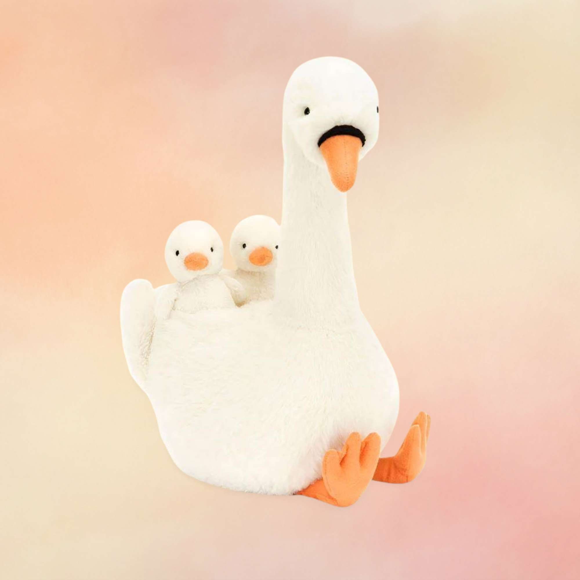 Featherful Swan | Birds Collection